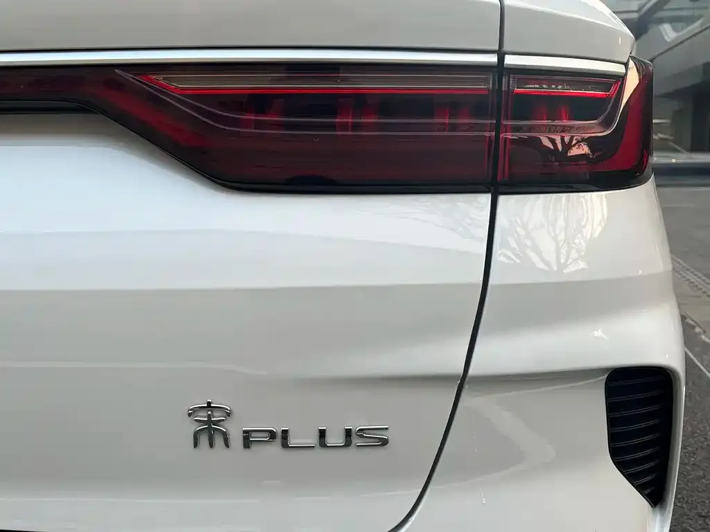 BYD PLUS 2022 из CN, фото 2