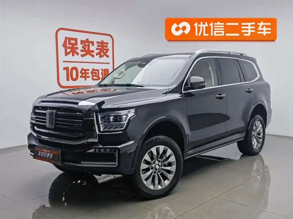 Tank 500 New Energy 2024 из CN, фото 1
