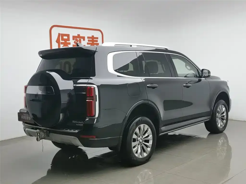 Tank 500 New Energy 2024 из CN, фото 3