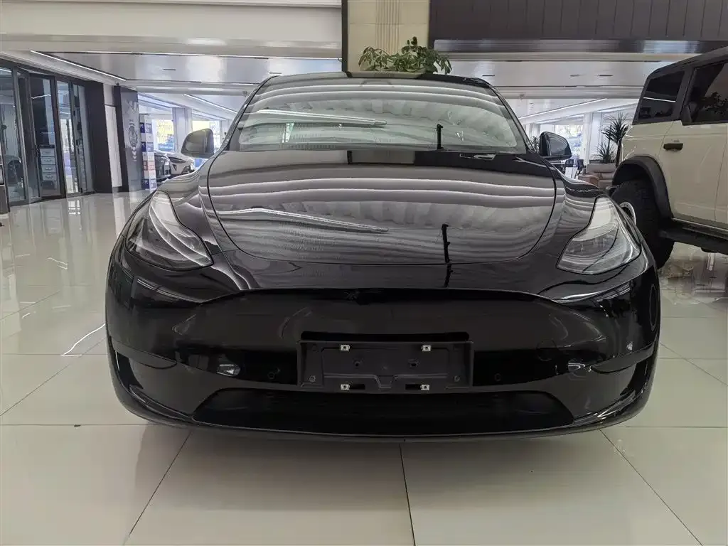 Tesla Model Y — фото 2