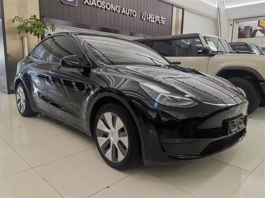 Tesla Model Y — фото 6