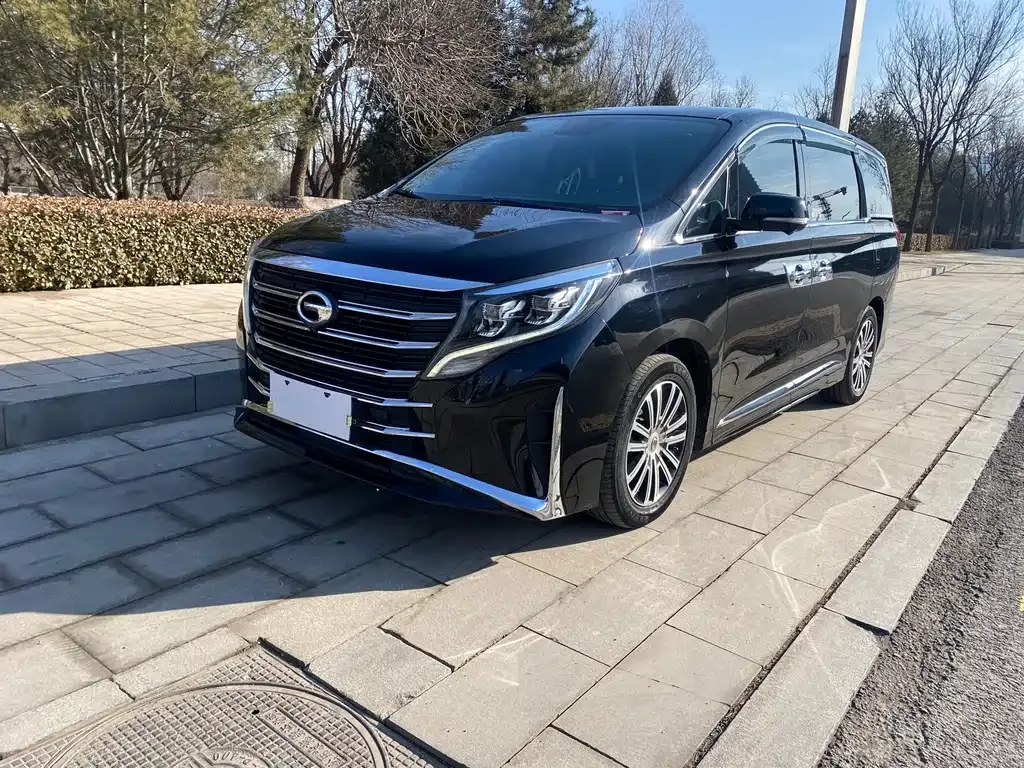 GAC Motor Trumpchi M8 2022 из CN, фото 1