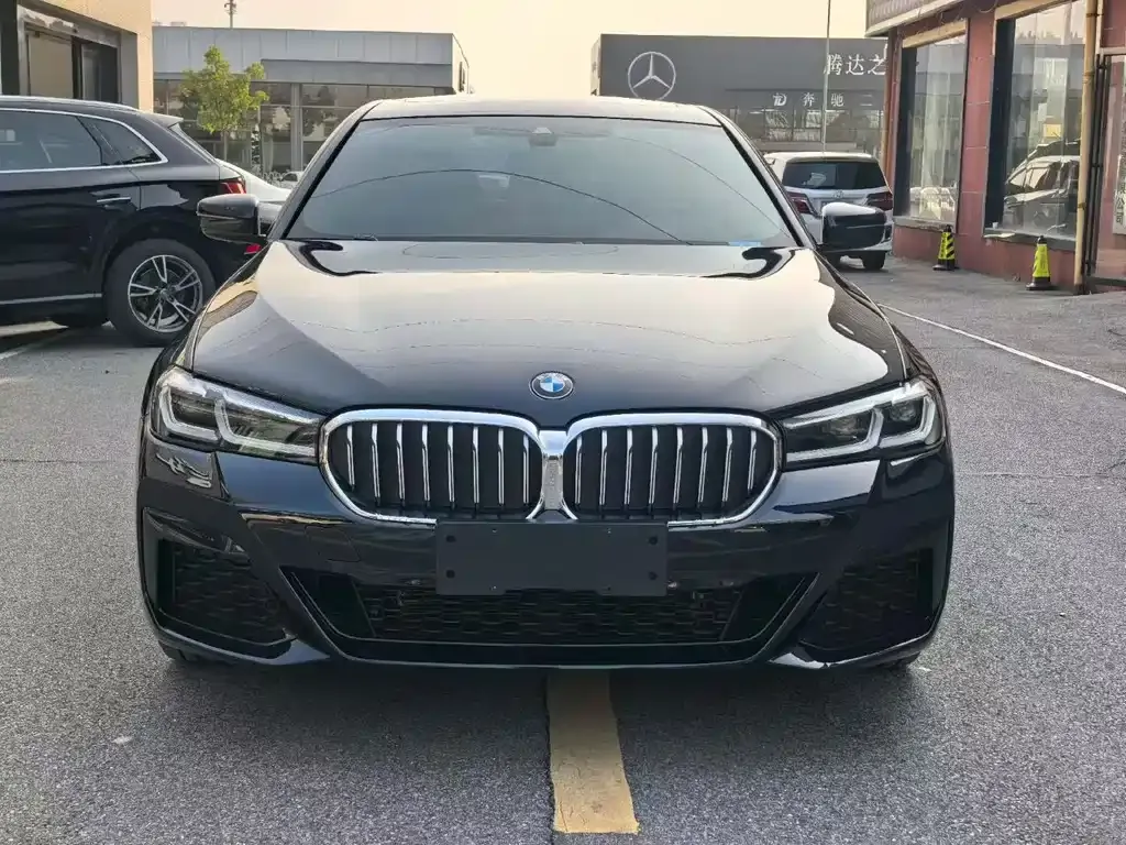 BMW 5 Series 2021 из CN, фото 6