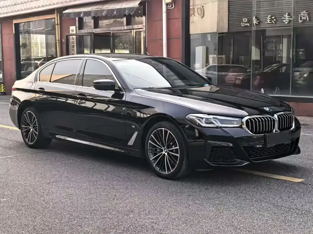 BMW 5 Series 2021 из CN, фото 7