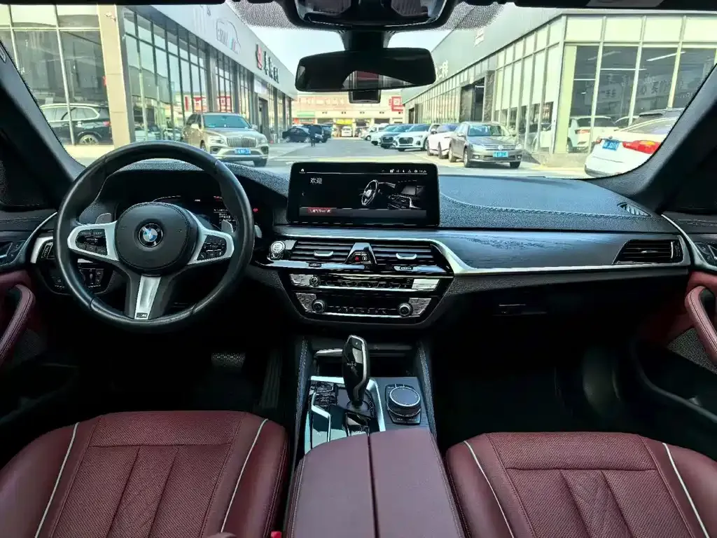 BMW 5 Series 2021 из CN, фото 3