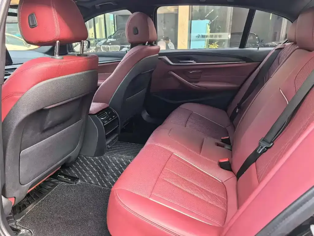 BMW 5 Series 2021 из CN, фото 8