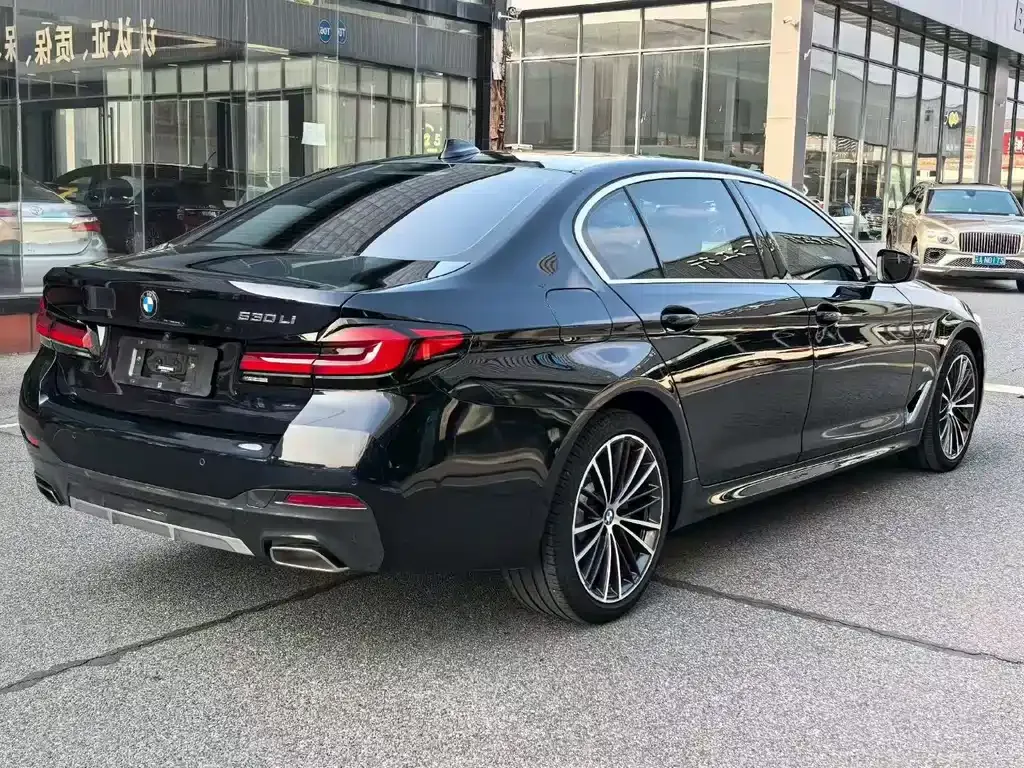 BMW 5 Series 2021 из CN, фото 9