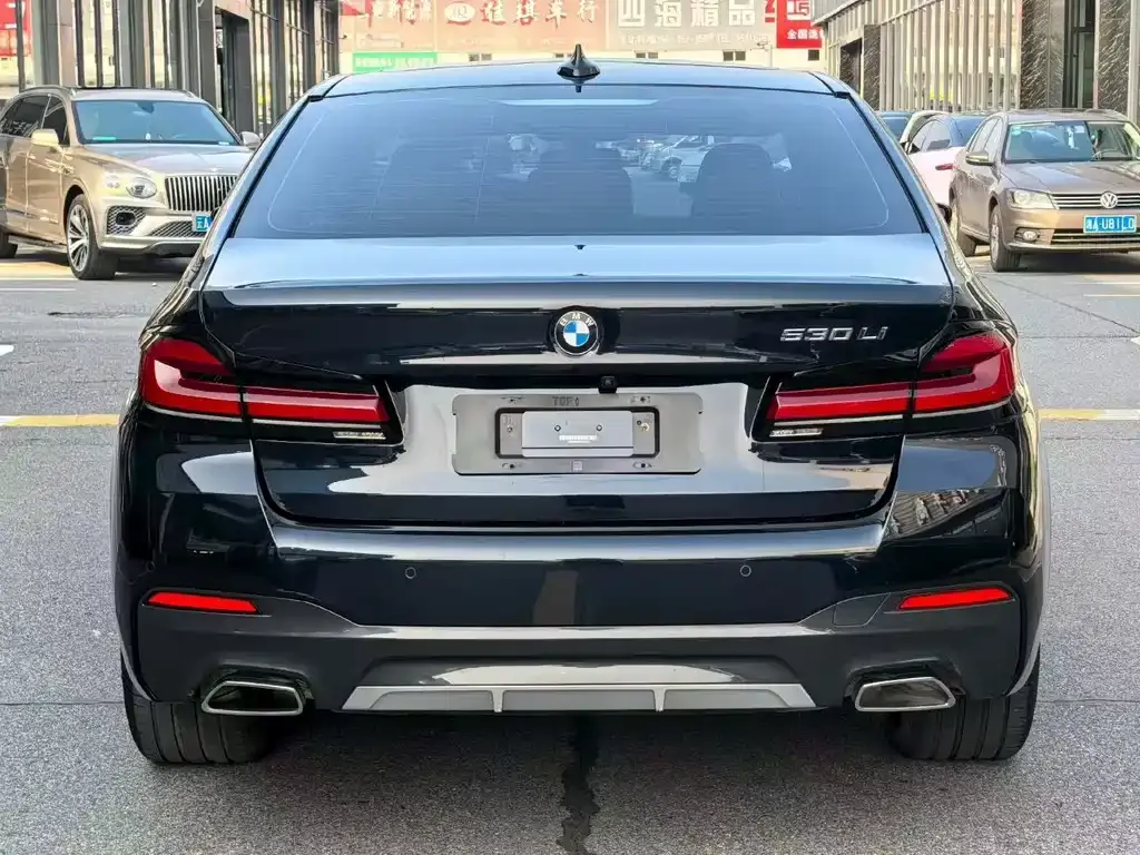 BMW 5 Series 2021 из CN, фото 2