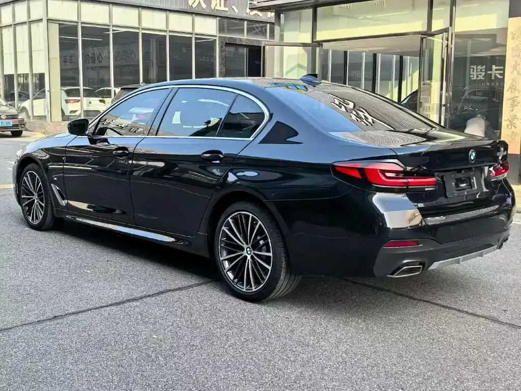 BMW 5 Series 2021 из CN, фото 4