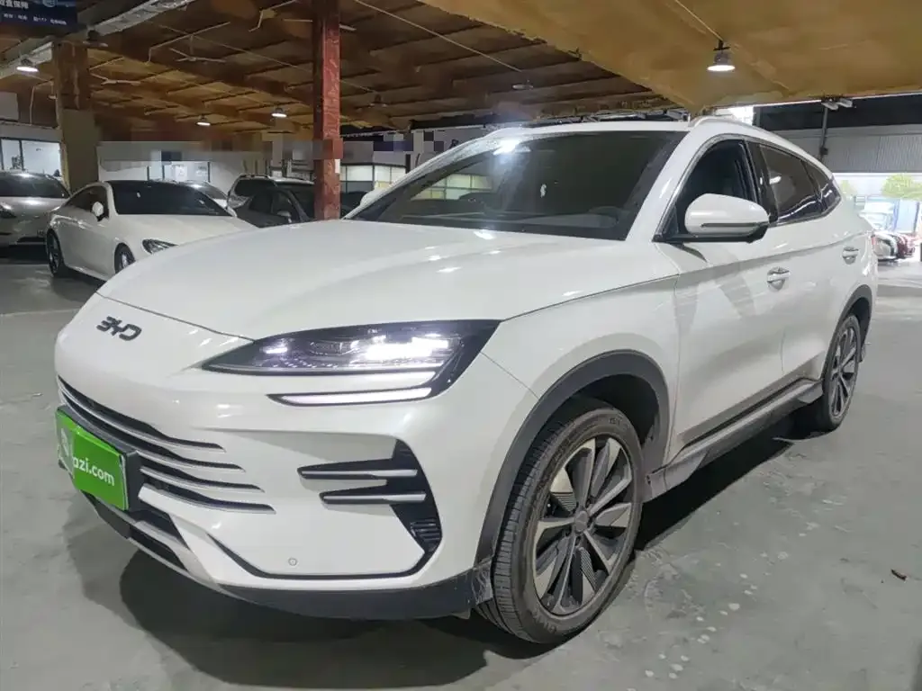 BYD PLUS New Energy 2024 из CN, фото 1