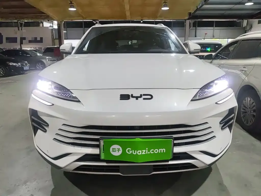 BYD PLUS New Energy 2024 из CN, фото 4