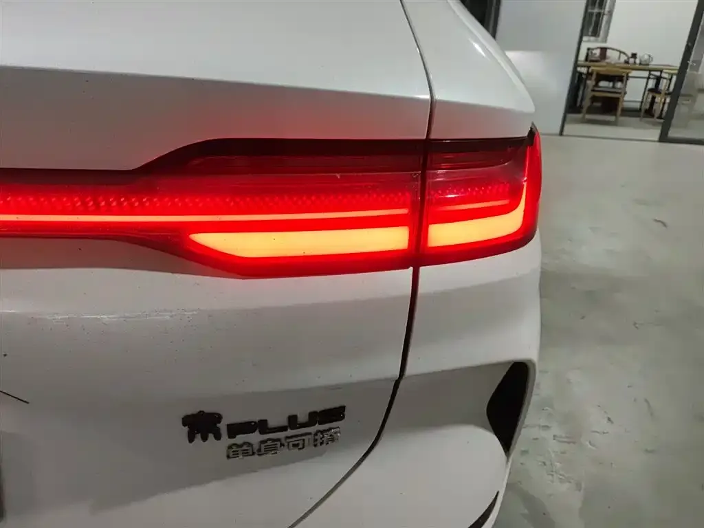 BYD PLUS New Energy 2024 из CN, фото 2