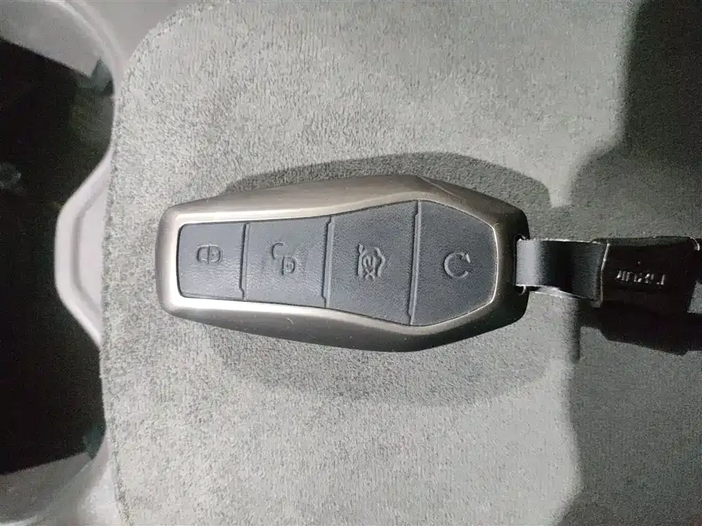 BYD PLUS New Energy 2024 из CN, фото 8