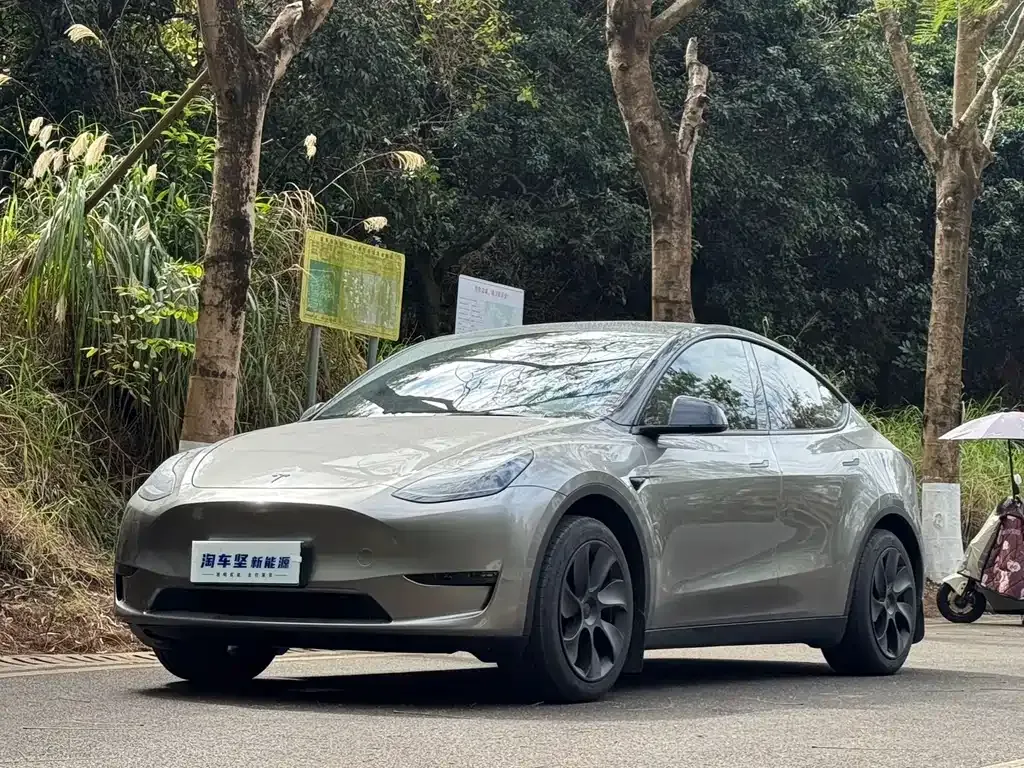 Tesla Model Y 2025 из CN, фото 1