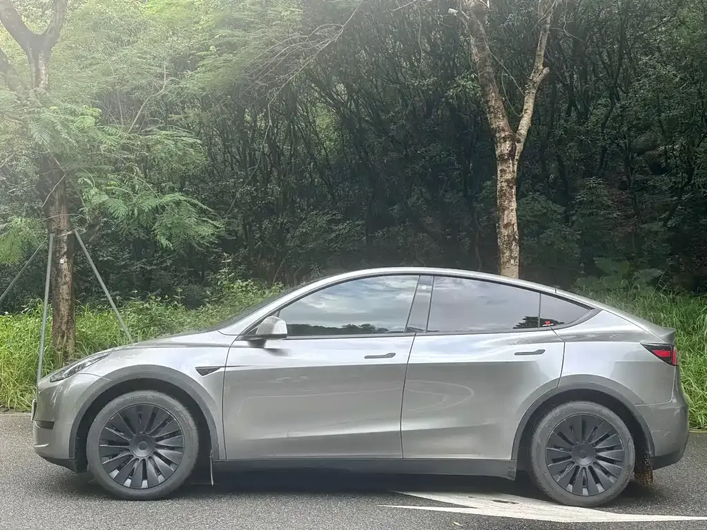 Tesla Model Y 2025 из CN, фото 5
