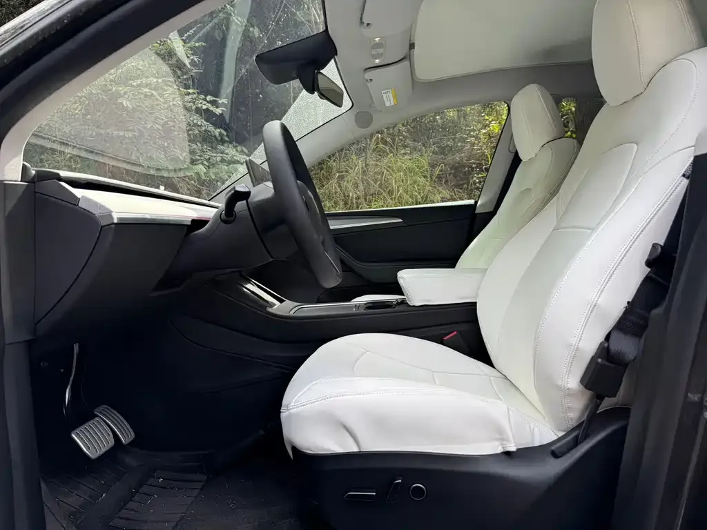 Tesla Model Y 2025 из CN, фото 2