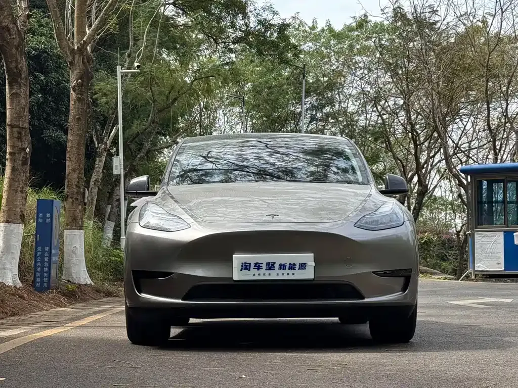 Tesla Model Y 2025 из CN, фото 8
