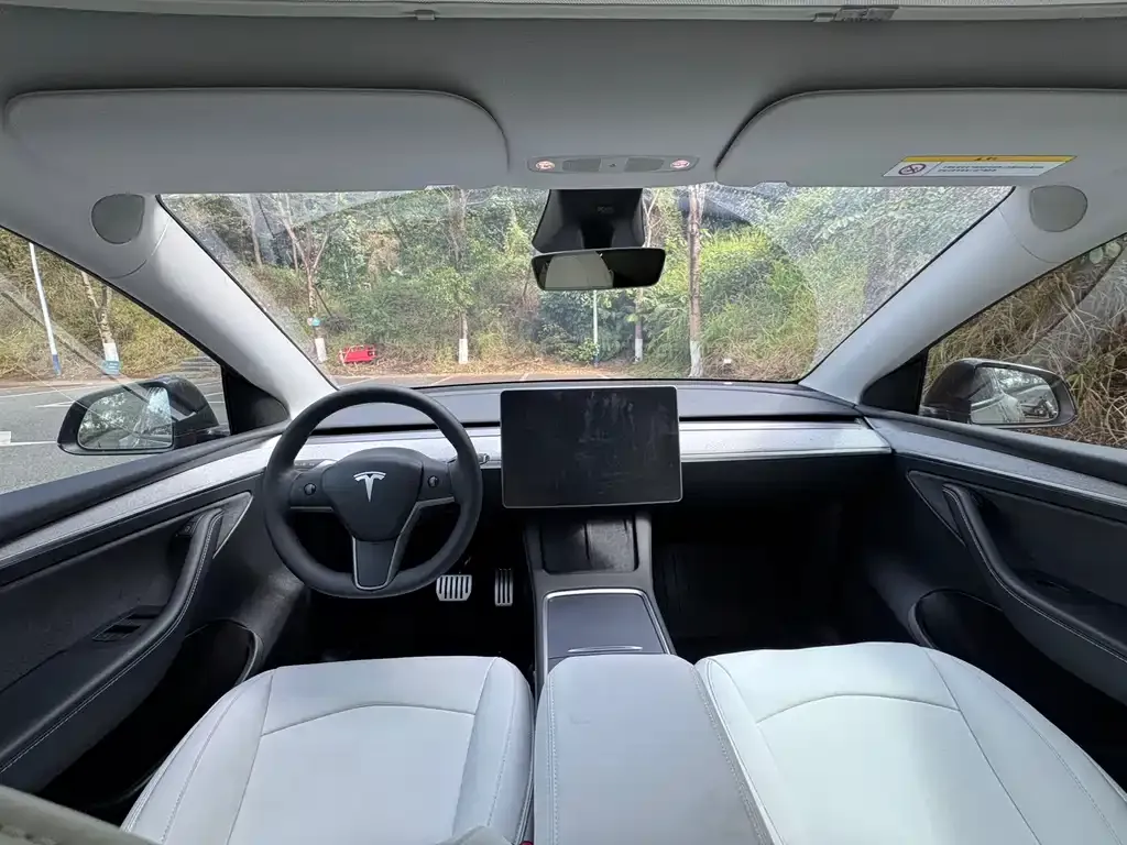 Tesla Model Y 2025 из CN, фото 7