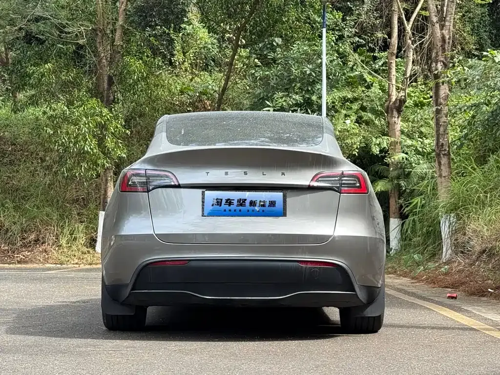 Tesla Model Y 2025 из CN, фото 4