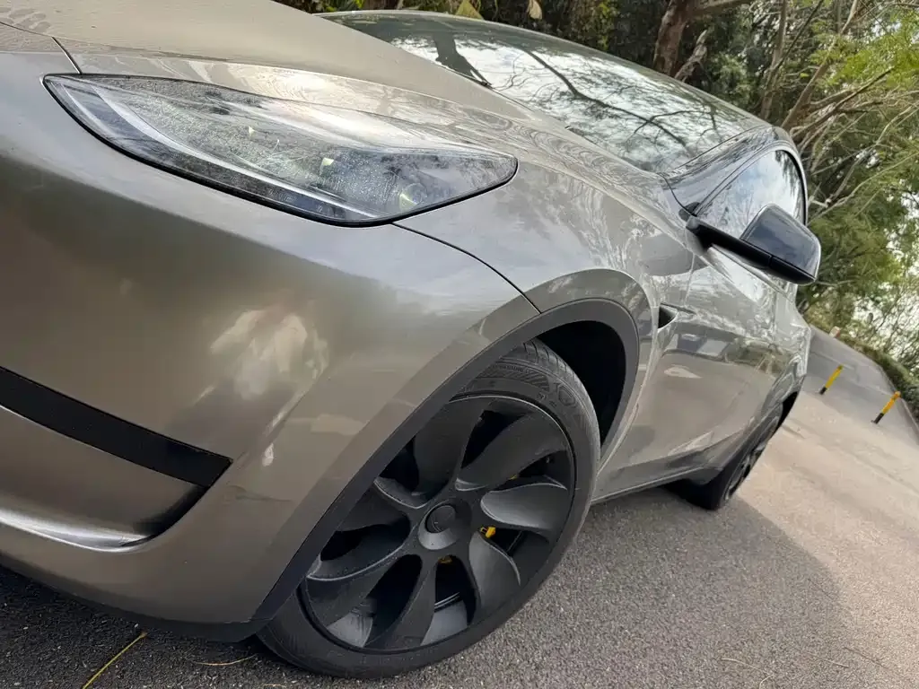 Tesla Model Y 2025 из CN, фото 6