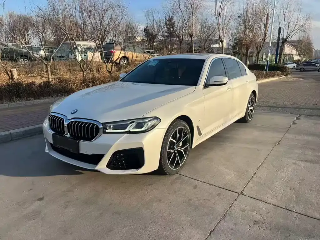 BMW 5 Series 2022 из CN, фото 1