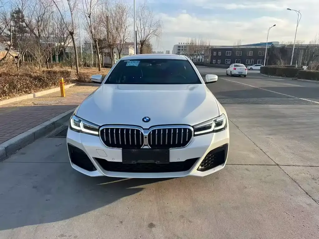 BMW 5 Series 2022 из CN, фото 3