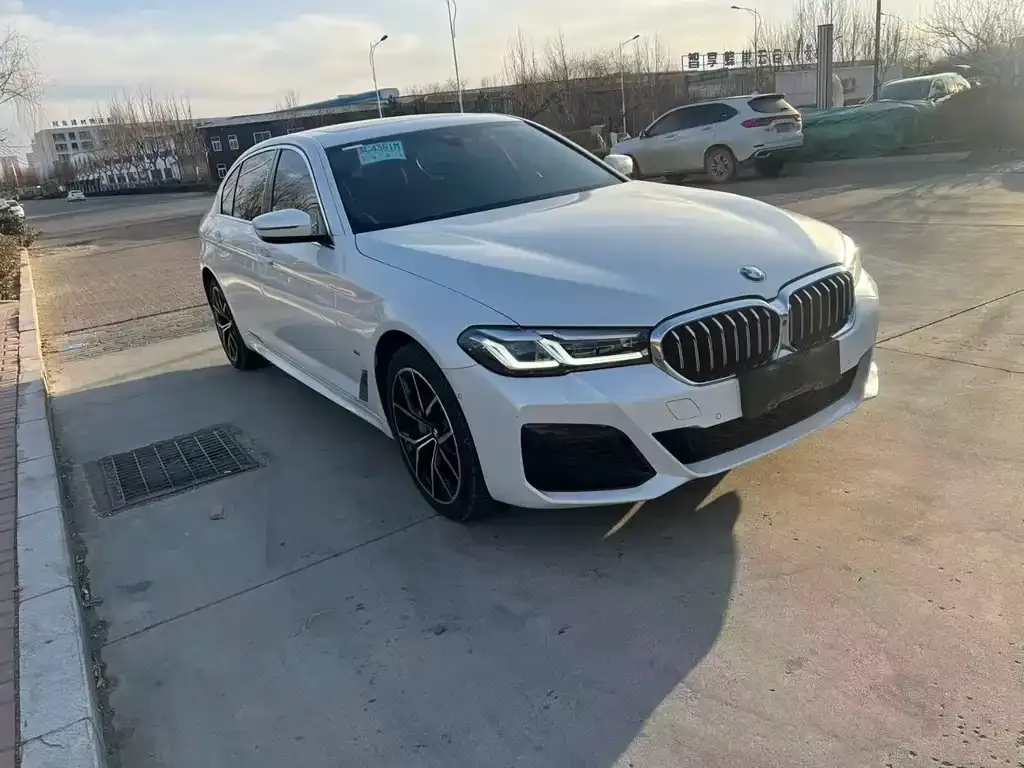 BMW 5 Series 2022 из CN, фото 8