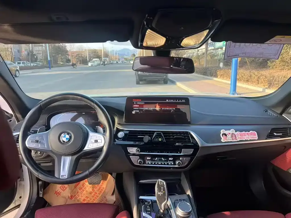 BMW 5 Series 2022 из CN, фото 7