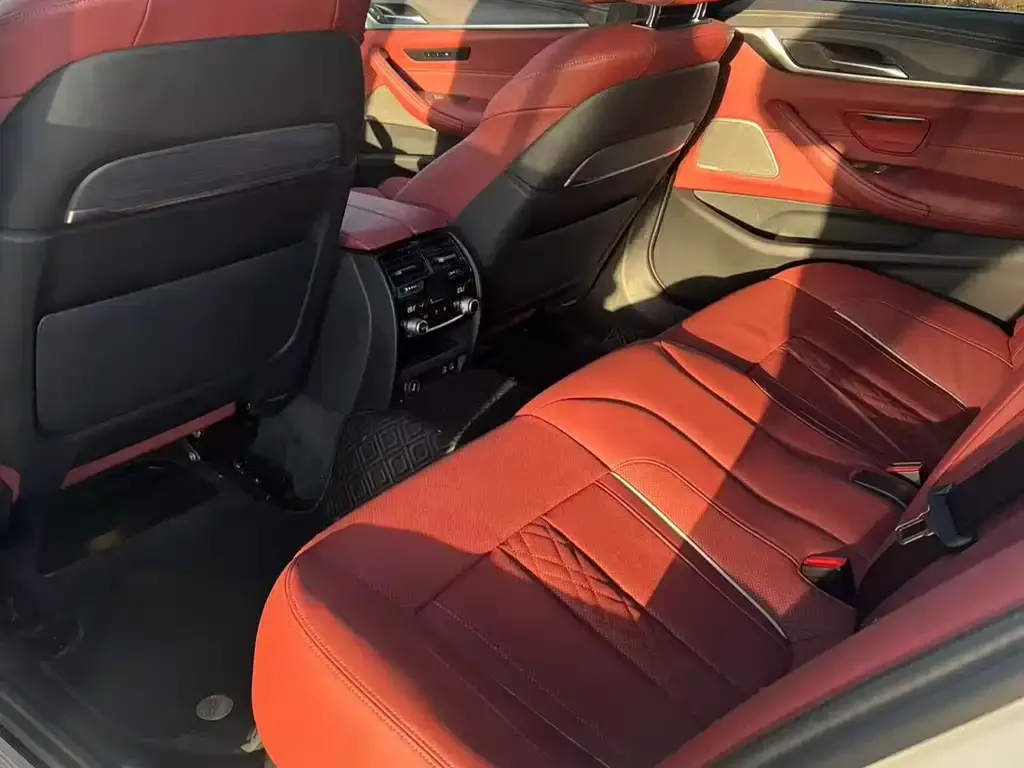 BMW 5 Series 2022 из CN, фото 4