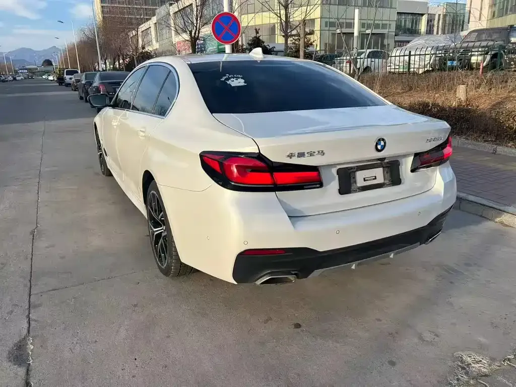BMW 5 Series 2022 из CN, фото 6