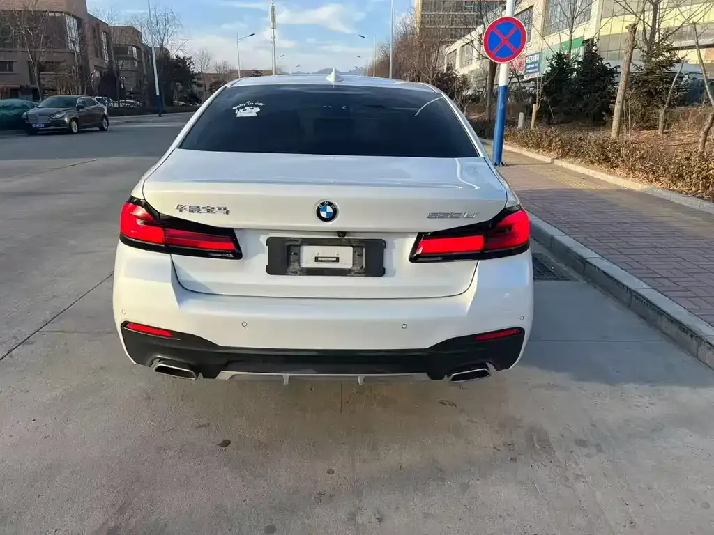 BMW 5 Series 2022 из CN, фото 9