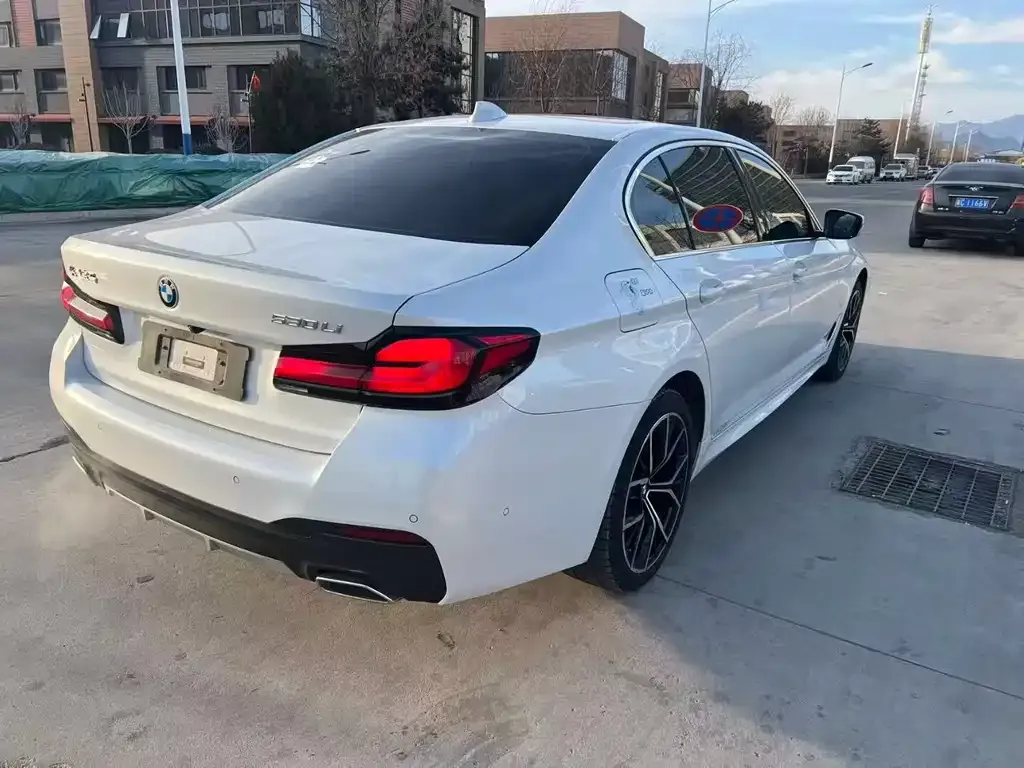 BMW 5 Series 2022 из CN, фото 5