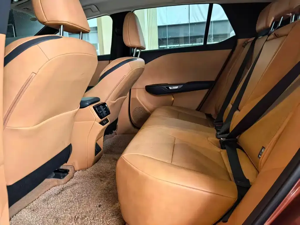 Lexus RZ 2023 из CN, фото 7