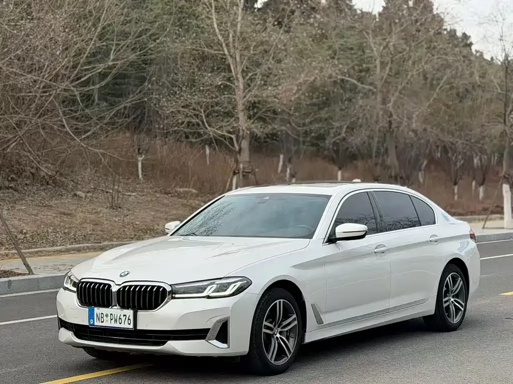 BMW 5 Series 2021 из CN, фото 1