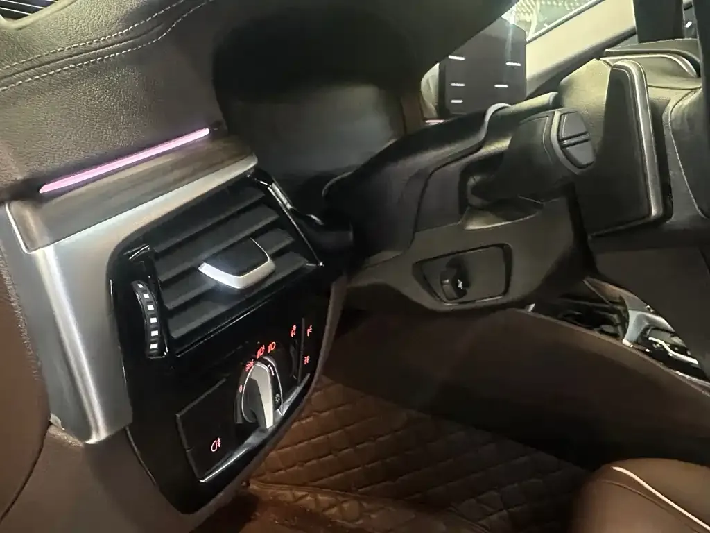 BMW 5 Series 2021 из CN, фото 6