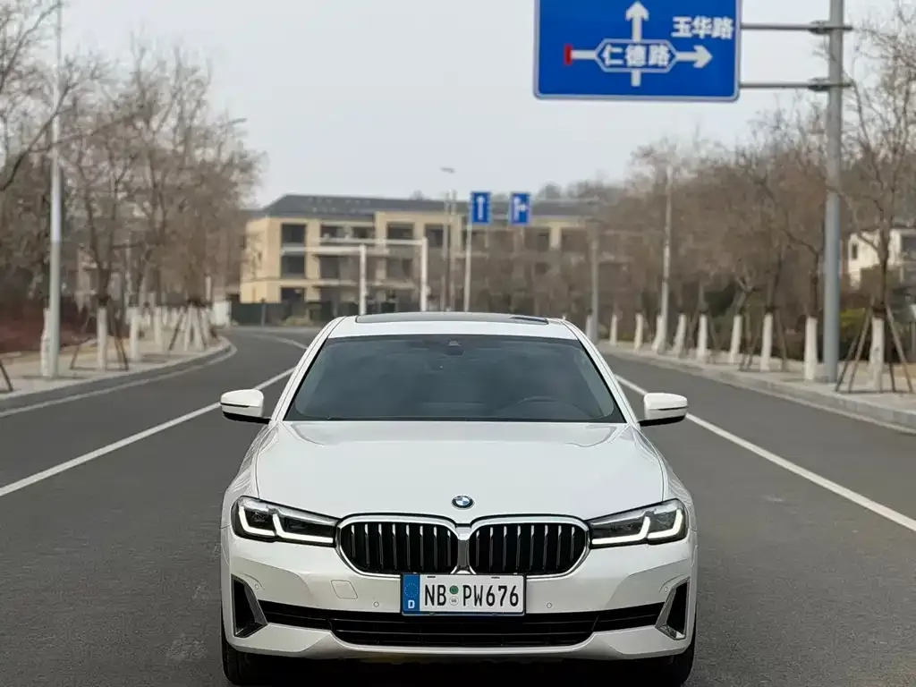 BMW 5 Series 2021 из CN, фото 9