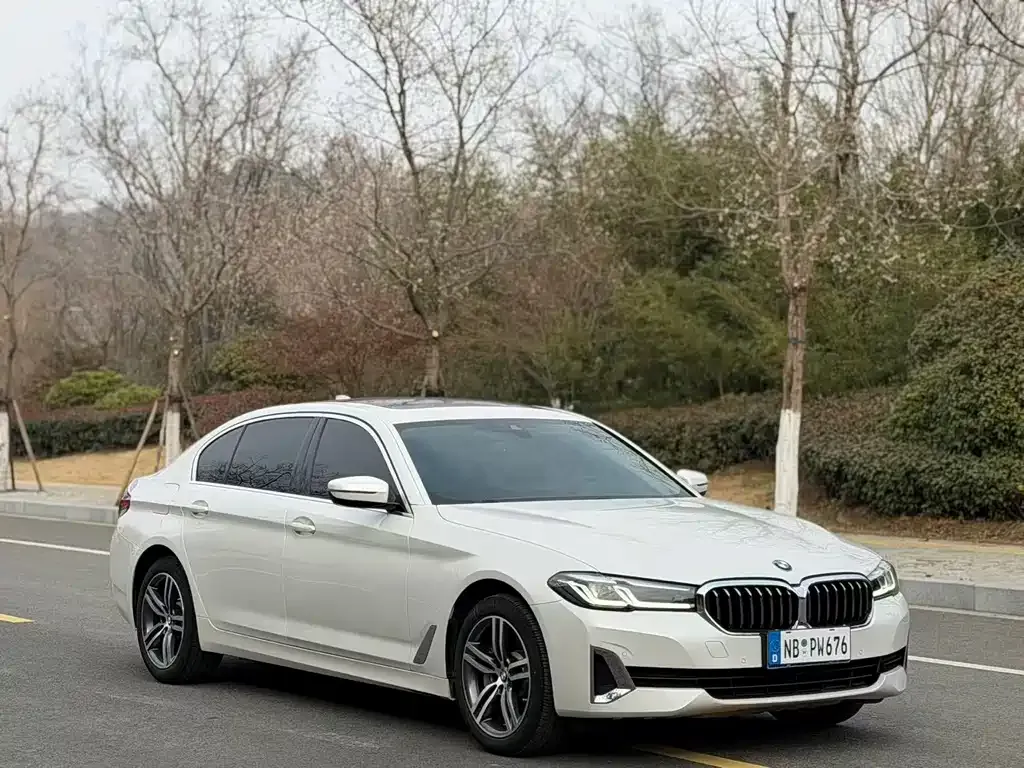 BMW 5 Series 2021 из CN, фото 8