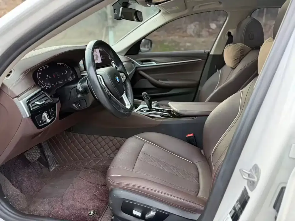 BMW 5 Series 2021 из CN, фото 7