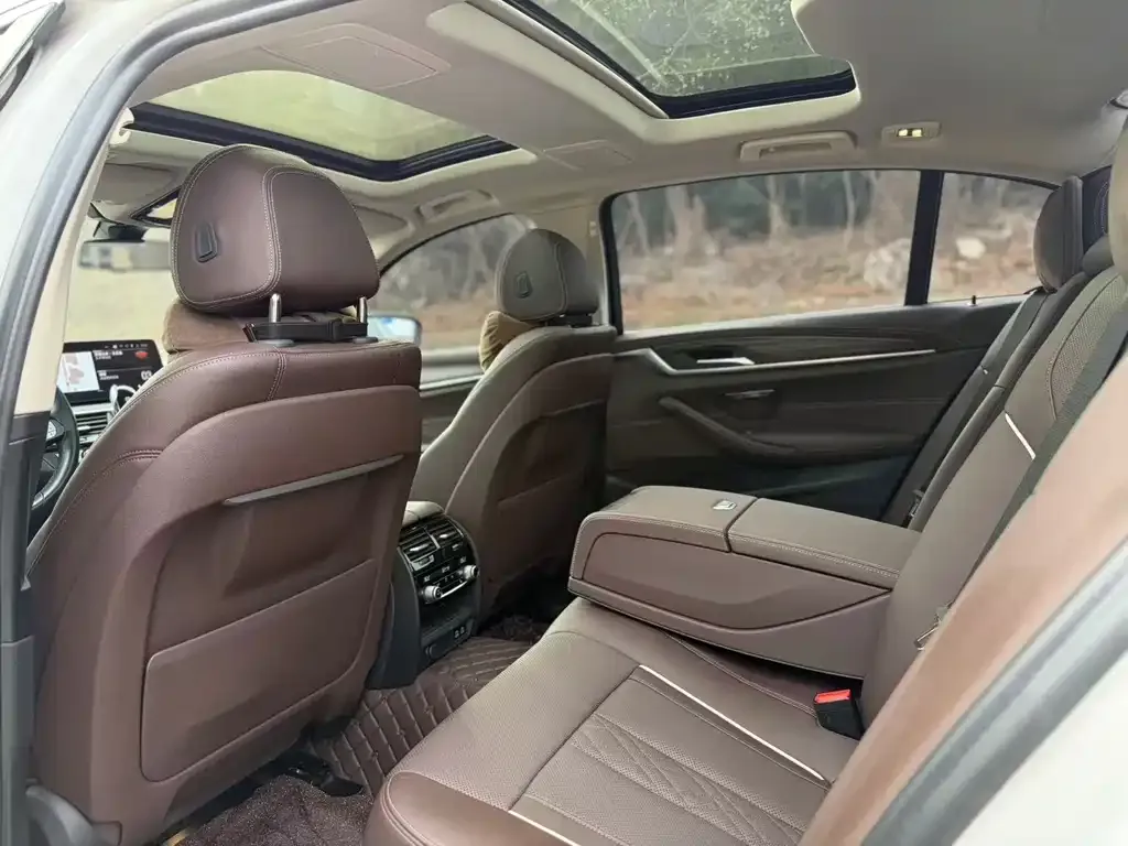 BMW 5 Series 2021 из CN, фото 10