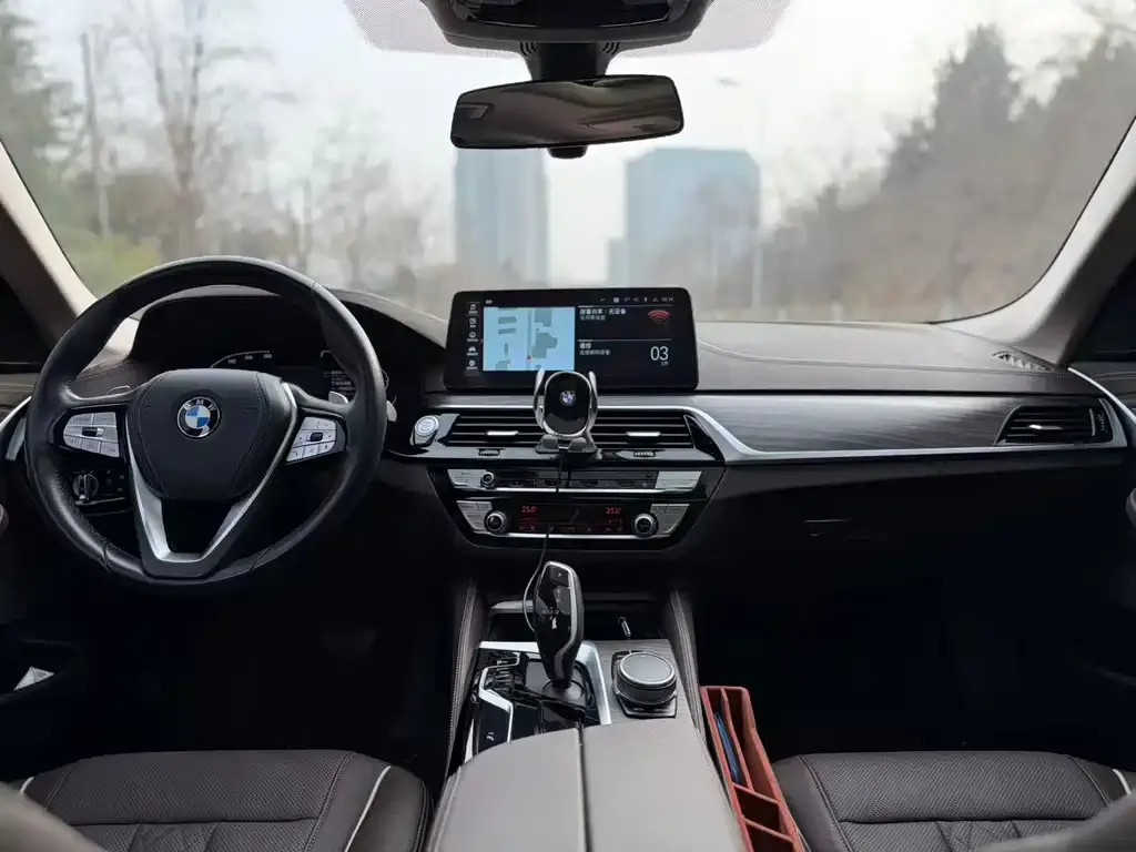 BMW 5 Series 2021 из CN, фото 5