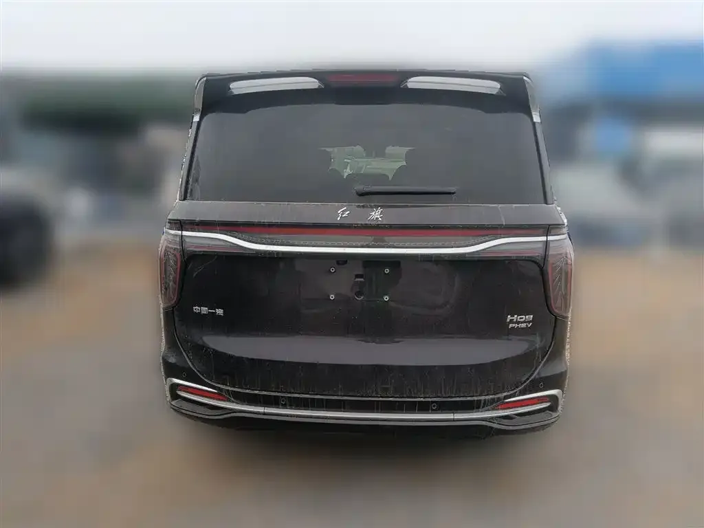 Hongqi HQ9 PHEV 2024 из CN, фото 3