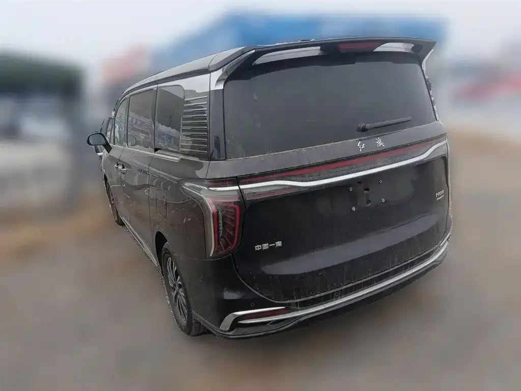 Hongqi HQ9 PHEV 2024 из CN, фото 6
