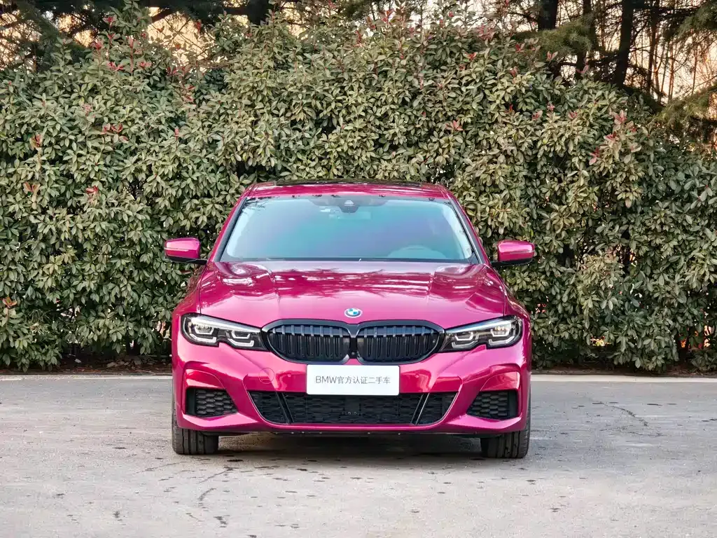BMW 3 Series 2022 из CN, фото 7