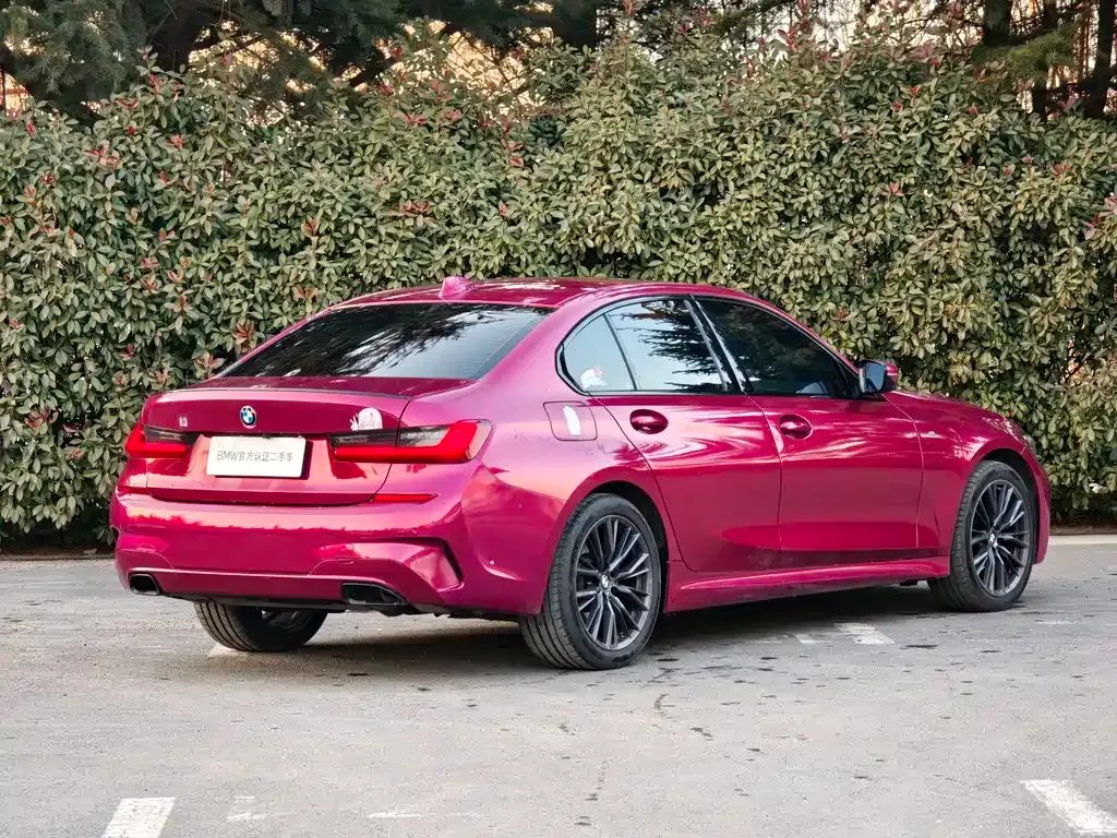 BMW 3 Series 2022 из CN, фото 10