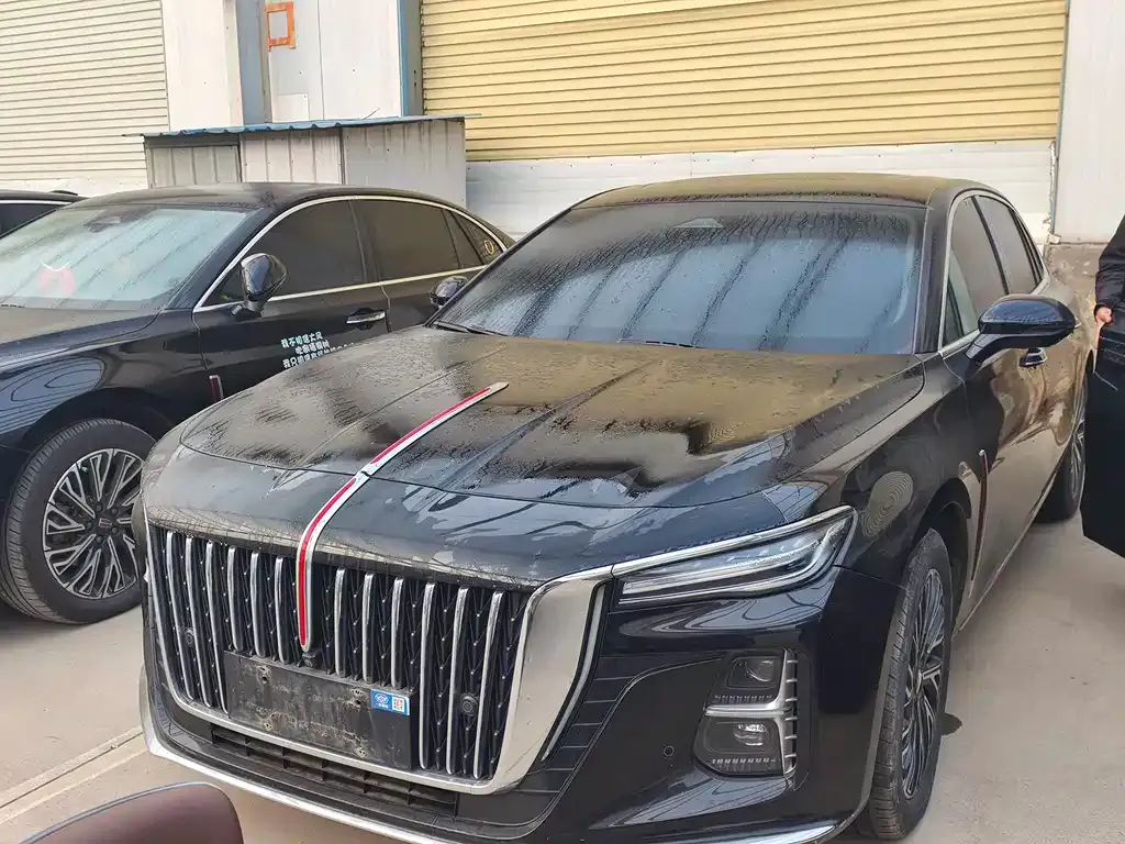 Hongqi H5 2024 из CN, фото 1