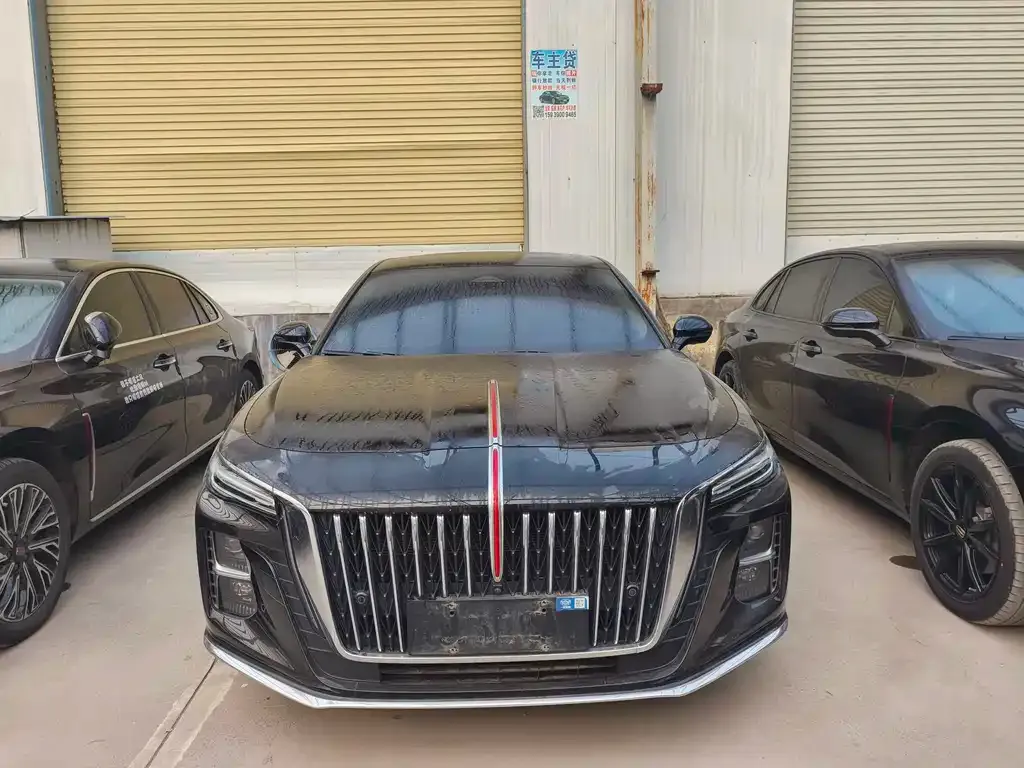 Hongqi H5 2024 из CN, фото 5