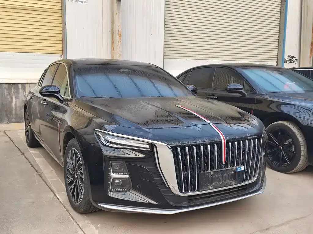 Hongqi H5 2024 из CN, фото 6