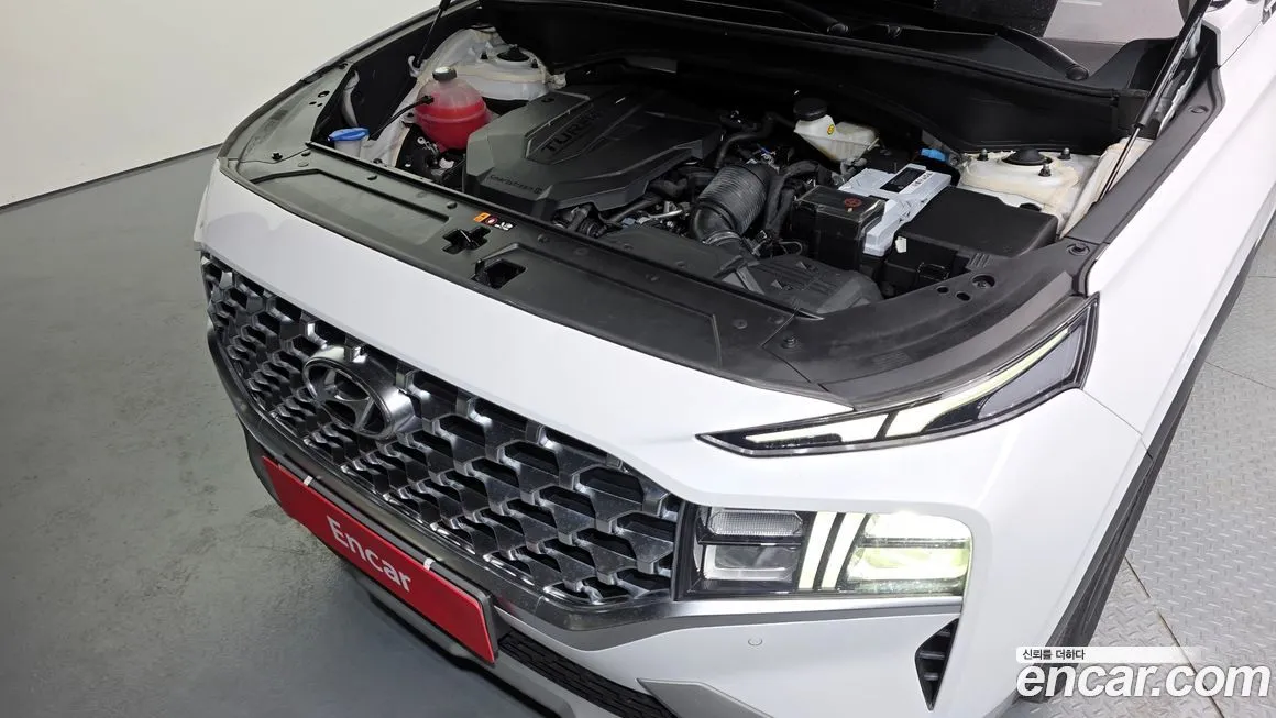 Hyundai Santafe 2021 из KR, фото 7