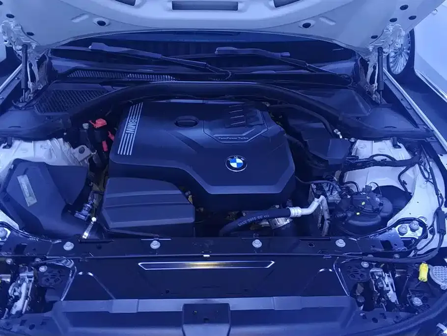 BMW 3 Series 2021 из CN, фото 8