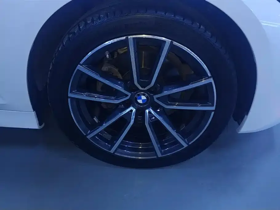 BMW 3 Series 2021 из CN, фото 4